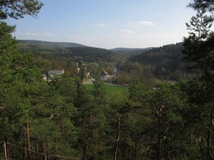 "Wald kann viel mehr als wachsen." - Blick von der Linahöhe auf Neumühle